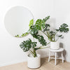 Two potted plants on a white stool against a white wall with a round mirror.