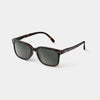 Sunglasses with tortoiseshell frame on a white background