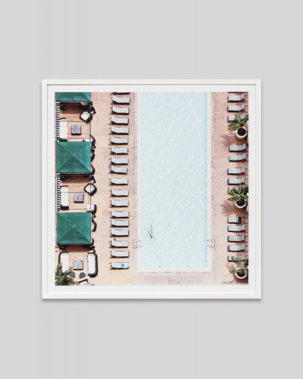 Morning Laps Print