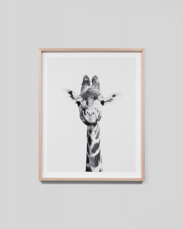 Giraffe Portrait Print