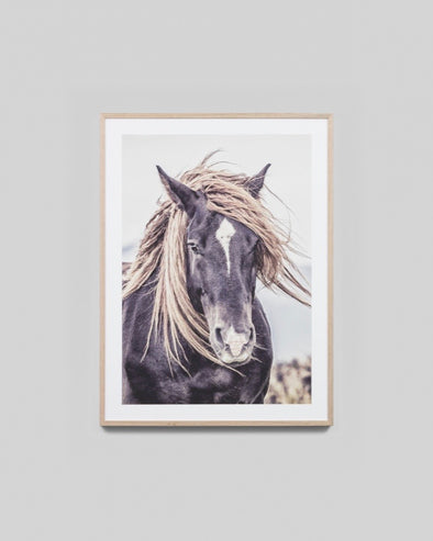 Lone Mustang Print