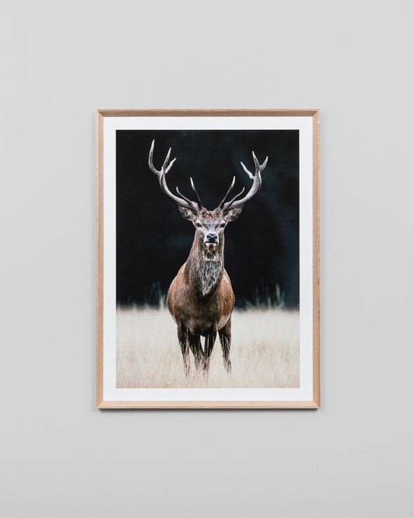 Meadow Deer Print