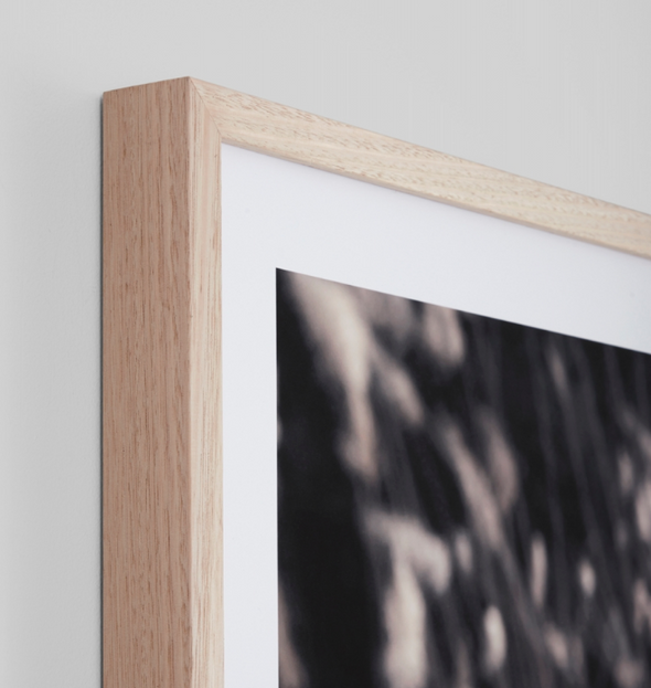 Winter Pampas Print